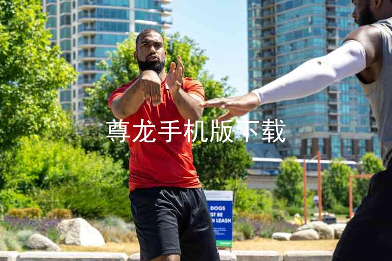 尊龙手机版下载