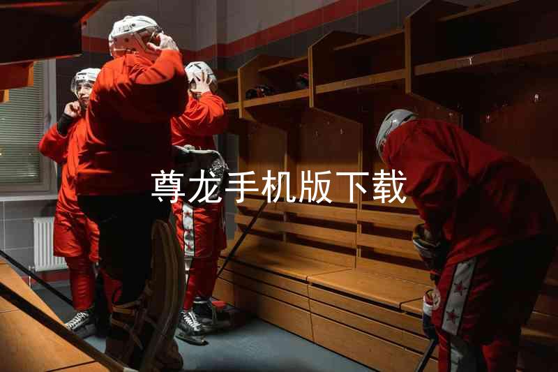 尊龙手机版下载