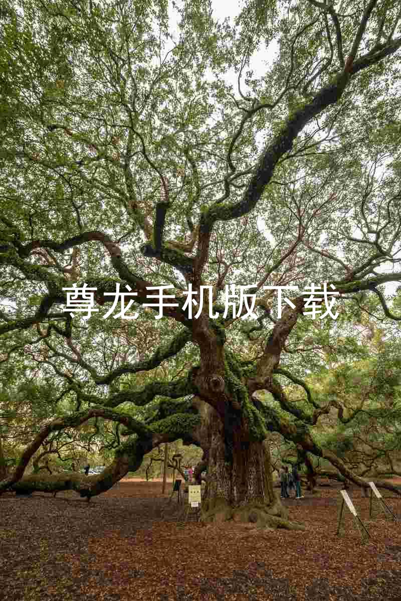 尊龙手机版下载