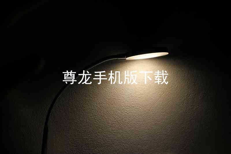 尊龙手机版下载