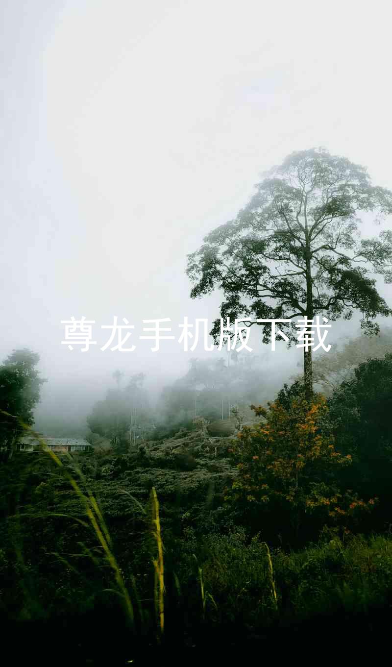 尊龙手机版下载