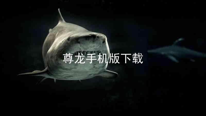 尊龙手机版下载