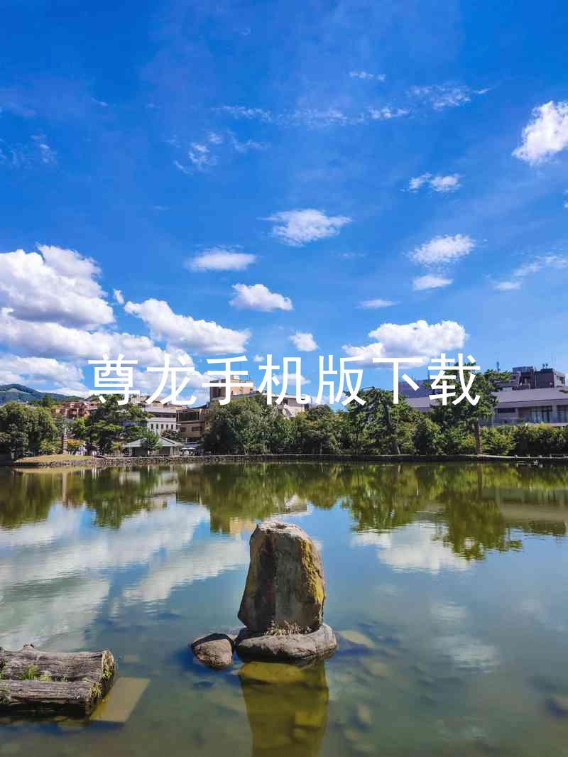 尊龙手机版下载