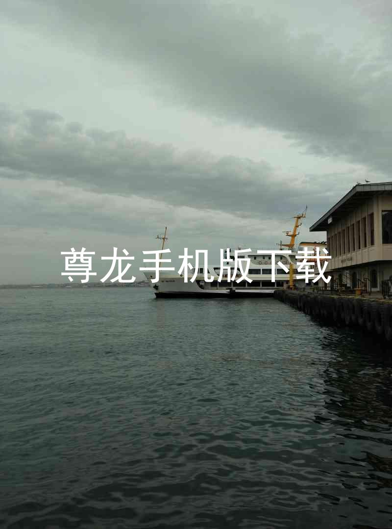 尊龙手机版下载