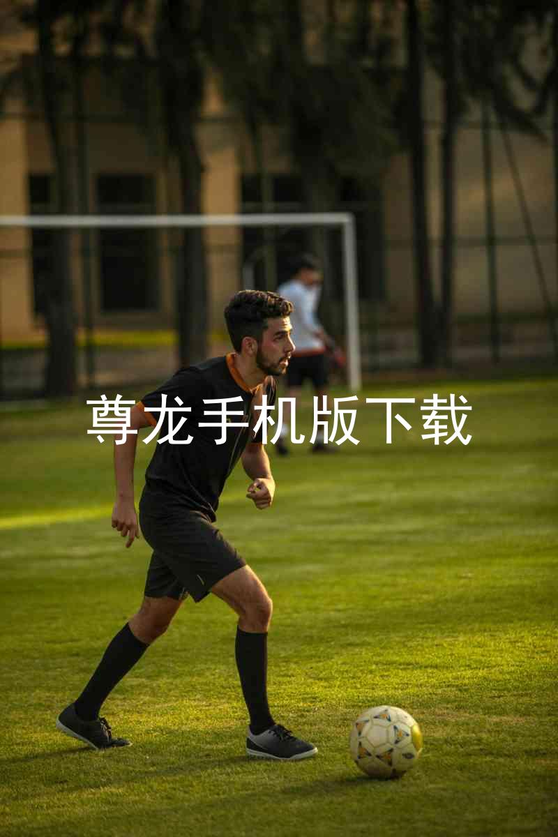 尊龙手机版下载