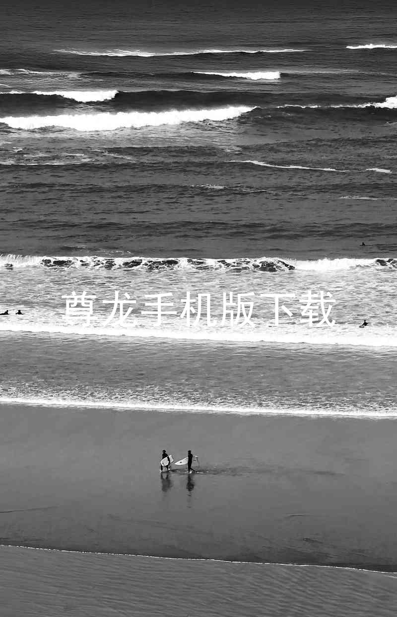 尊龙手机版下载